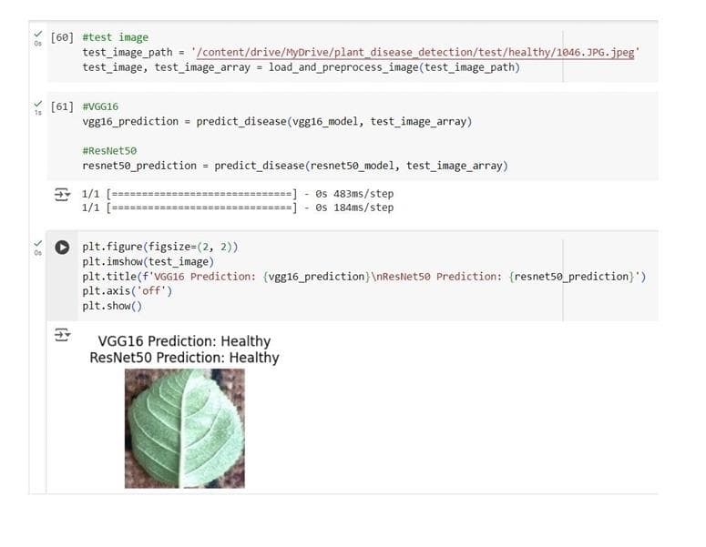 Plant Disease Detection System